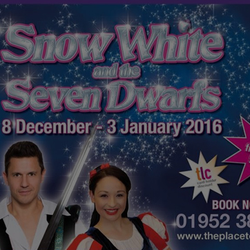 An example image of advertising on promotional material for a pantomime